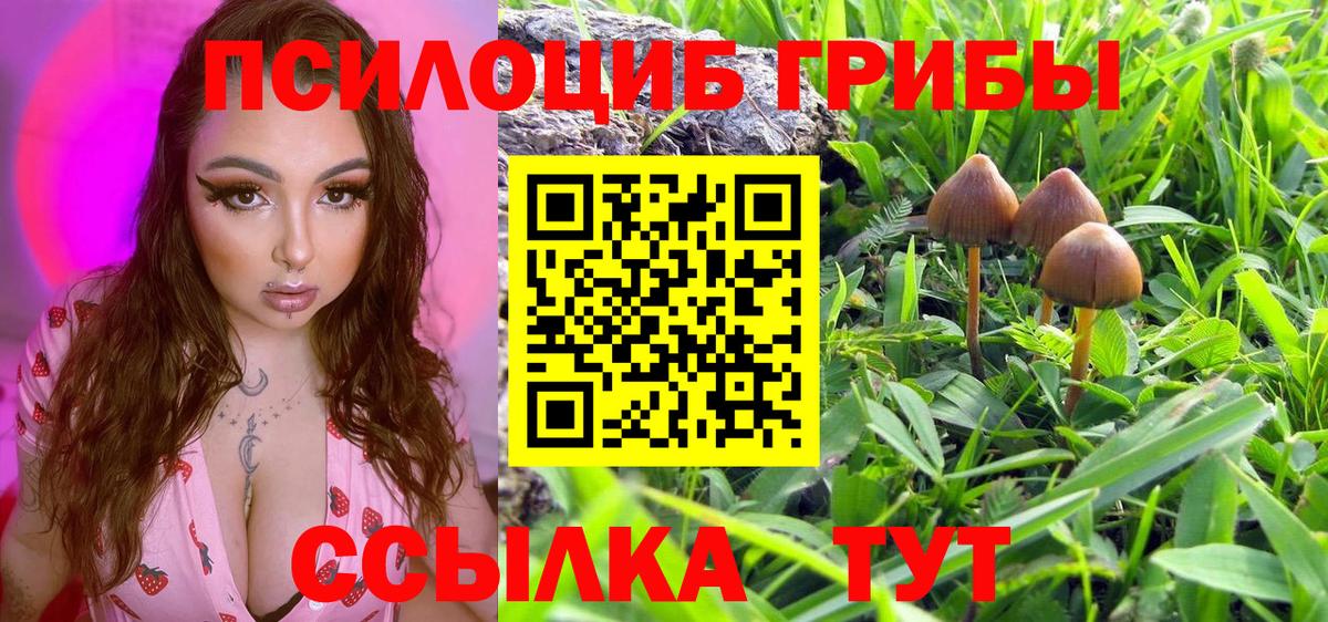 Псилоцибиновые грибы GOLDEN TEACHER Ялуторовск