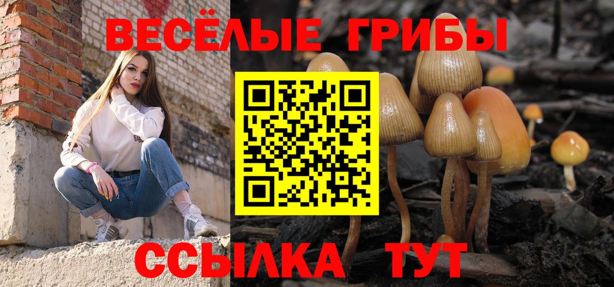 Ялуторовск  Псилоцибиновые грибы MAGIC MUSHROOMS  Вход с VPN 